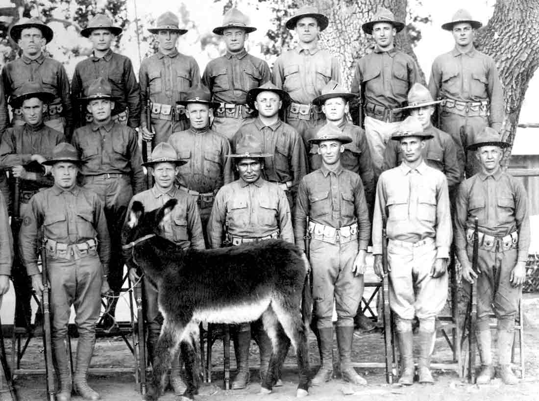 319th Engineers with donkey, 1918