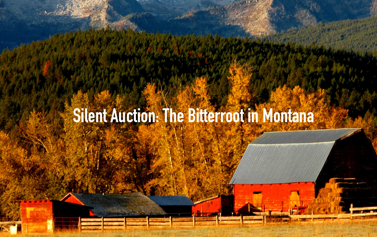 SHHS silent auction item Montana's bitterroot