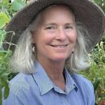 Linda Ziedrich, author of First Fruits, in a sun hat in her garden